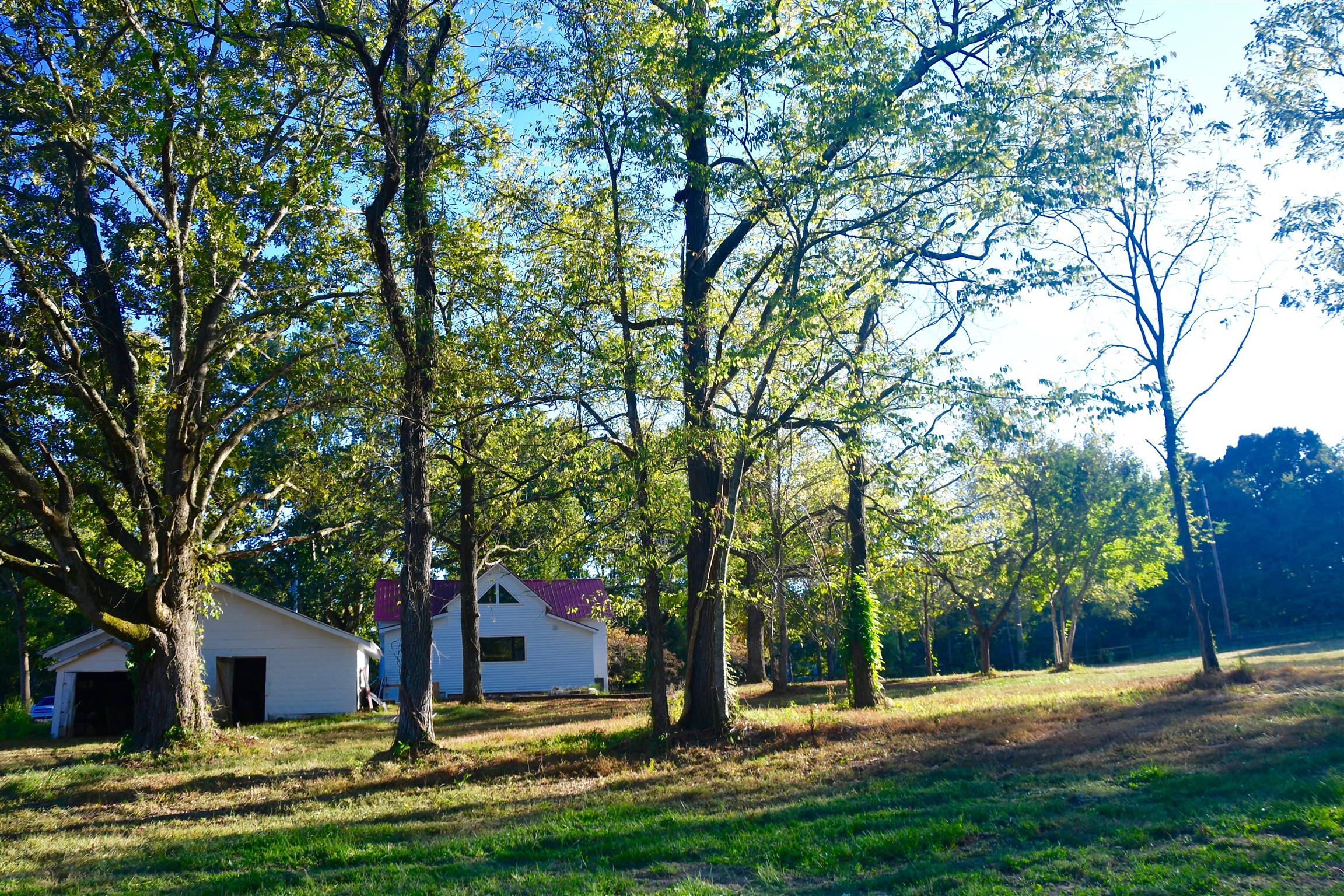 7803 Tatum Road Lyles, TN 37098 - Photo 5 of 18 Gorgeous Trees (some of the largest Oaks and Walnuts Trees in the Area) provide the optimum in shade and landscaping