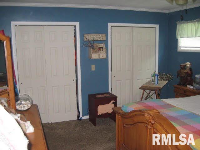 3901 County Farm Road Salem, IL 62881 - Photo 8 of 16