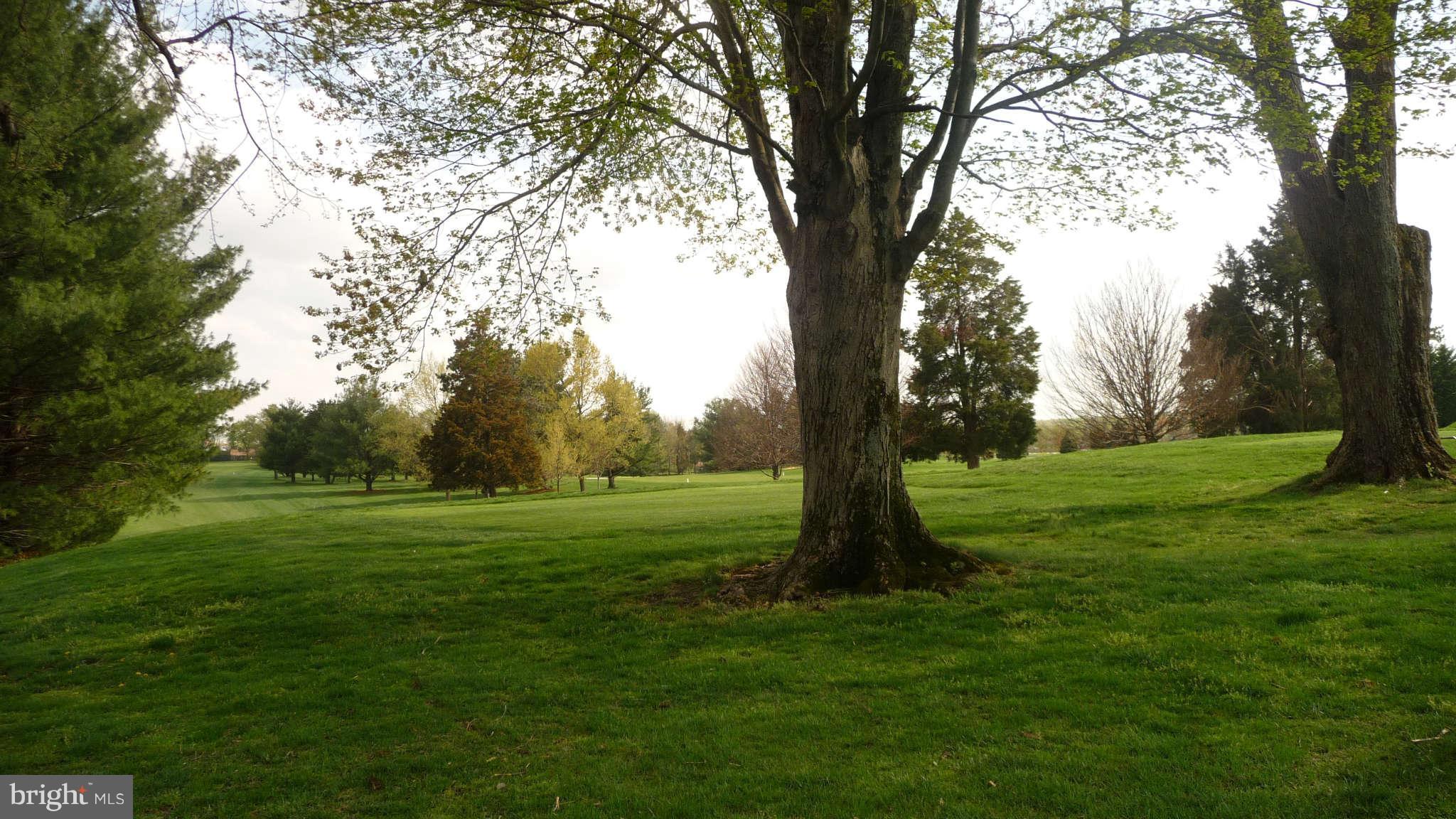 14703 Argyle Club Road Silver Spring, MD 20906 - Photo 29 of 29 Argyle Country Club Golf Course