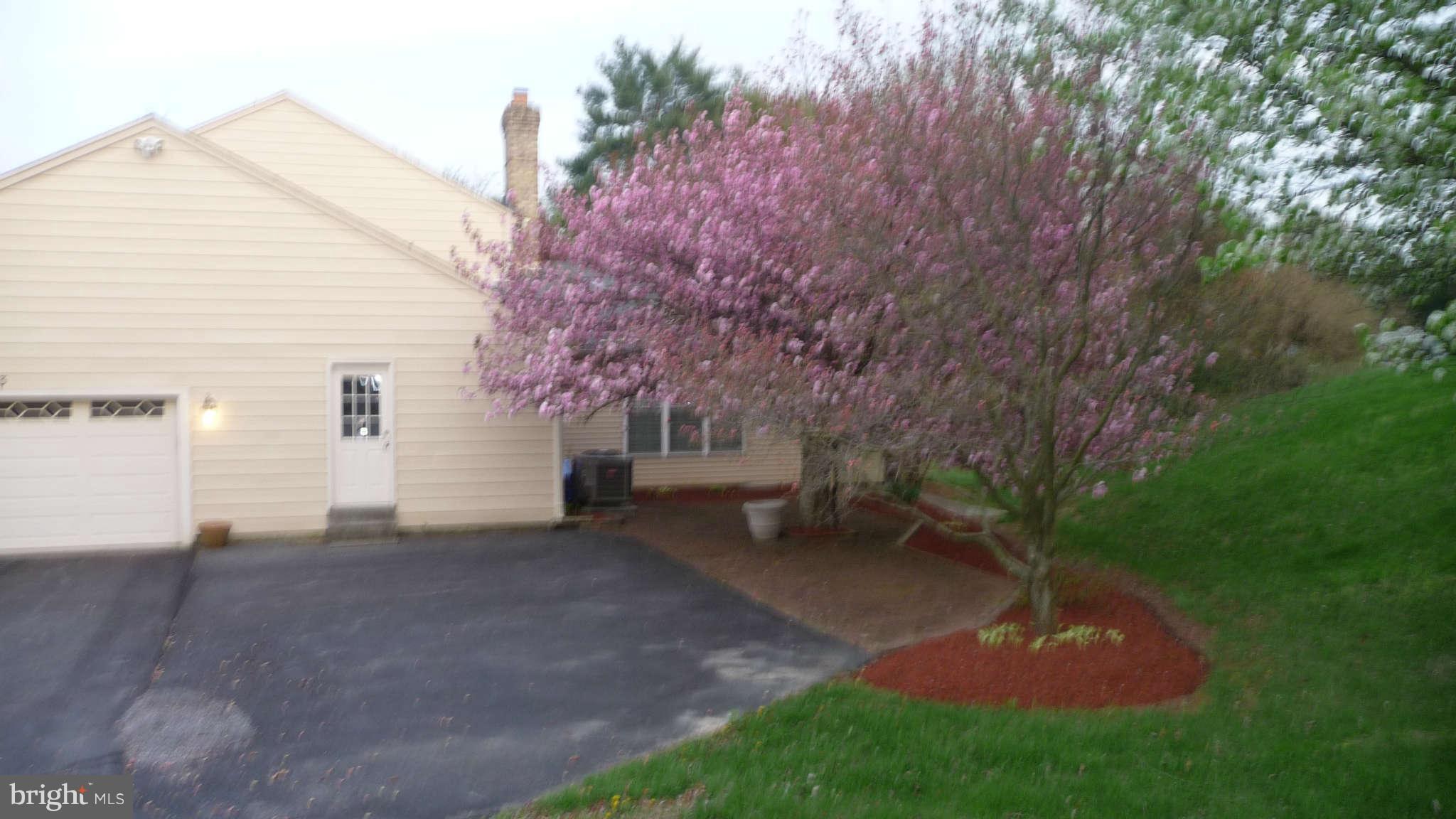 Exterior (General)