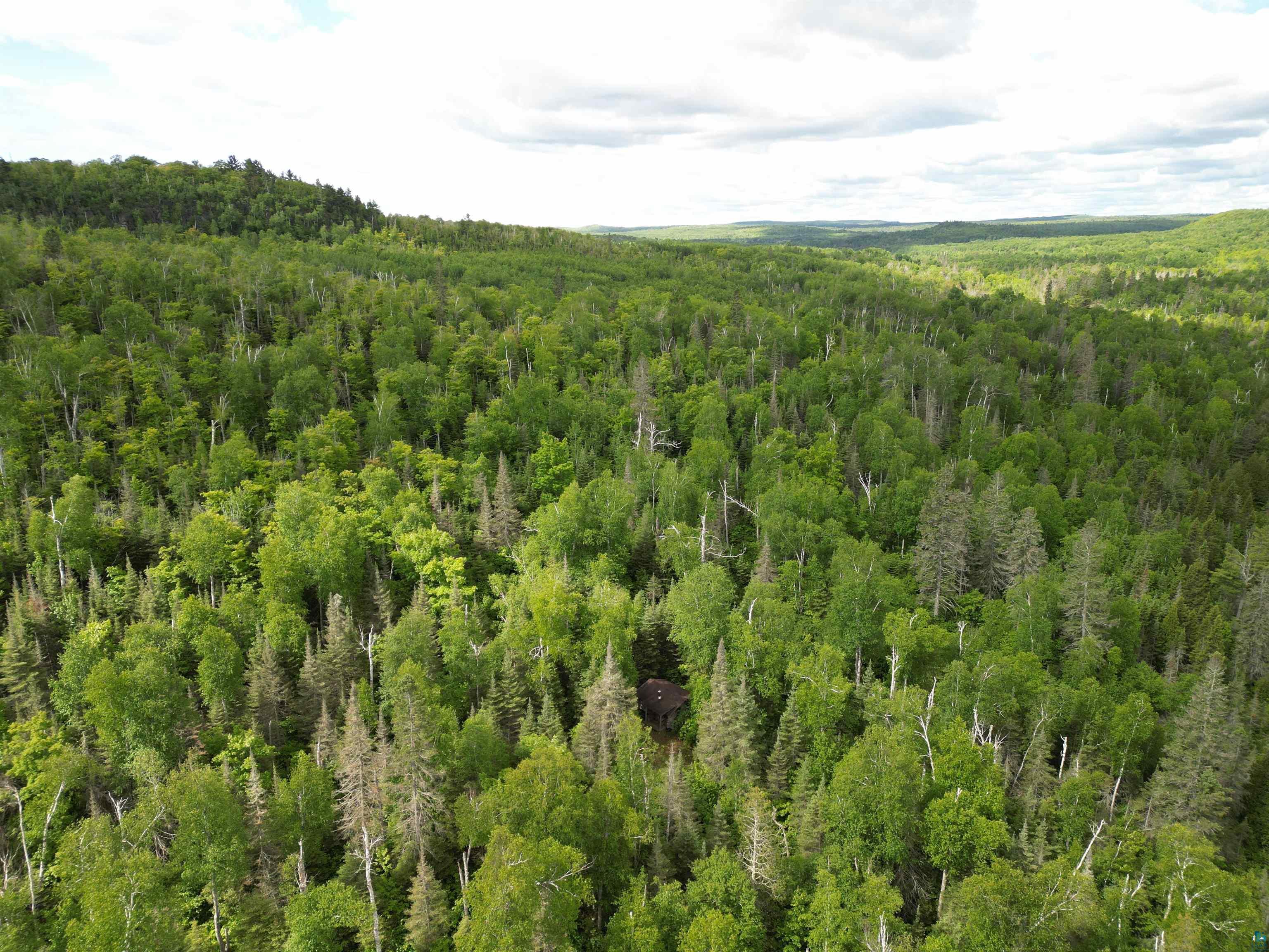 6975 Cramer Road Finland, MN 55603 - Photo 42 of 62