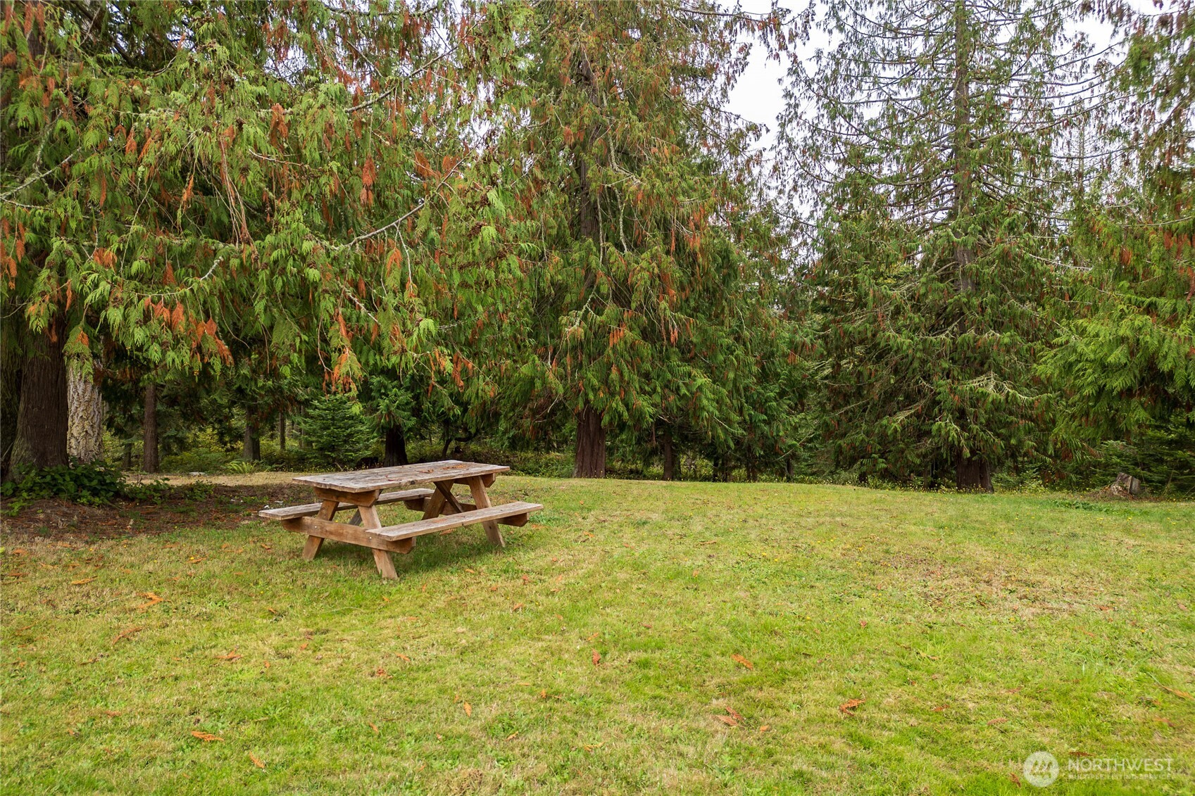 789 Marshall Road, Unit 49A Sequim, WA 98382 - Photo 31 of 38