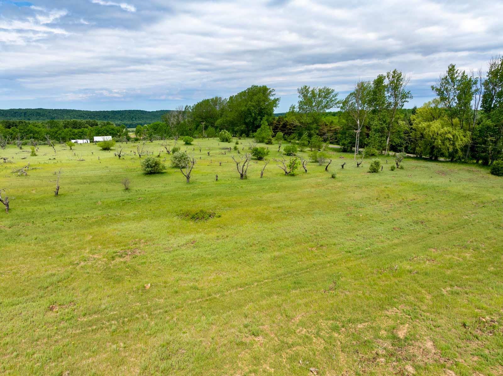 0 West Ryant Road Maple City, MI 49664 - Photo 22 of 25