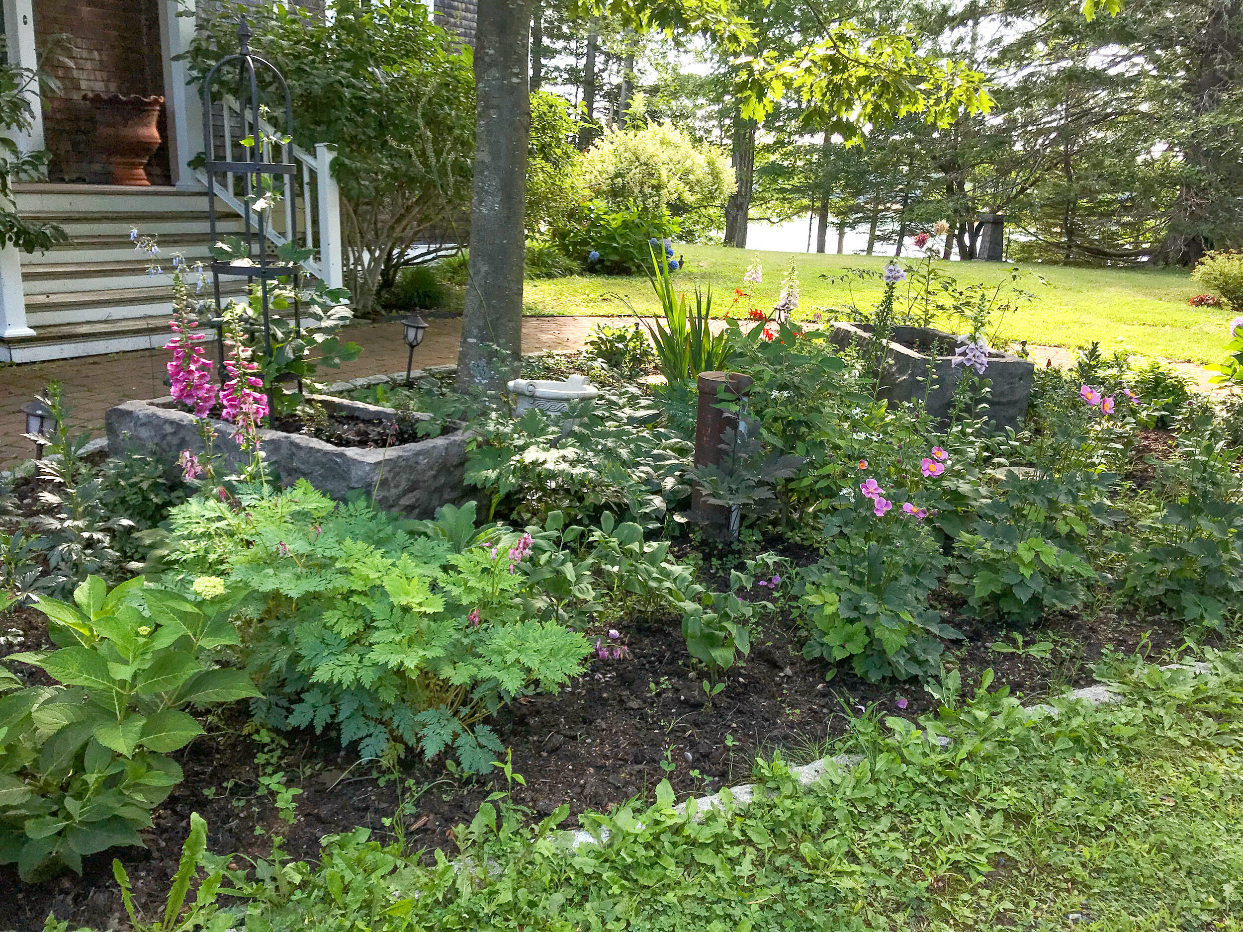 48 Oak Point Road Deer Isle, ME 04627 - Photo 48 of 57 frontgarden