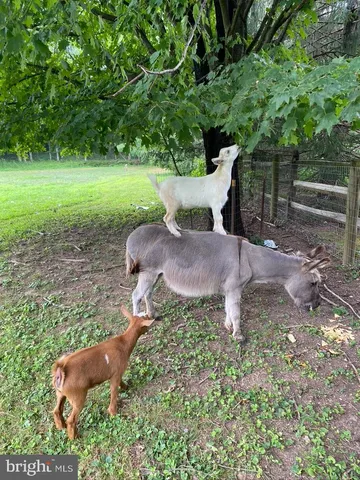 $6,500 | 232 Wrights Road, Newtown, PA 18940