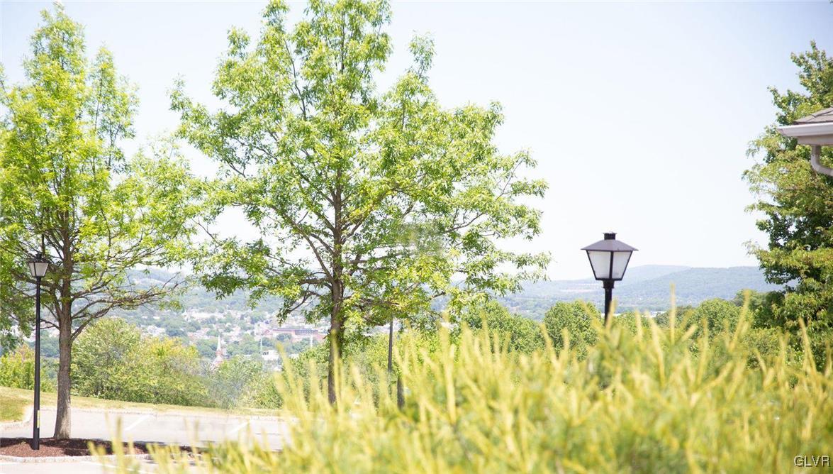 147 Pinehurst Lane Easton, PA 18042 - Photo 23 of 31 a swimming pool with some trees in the background