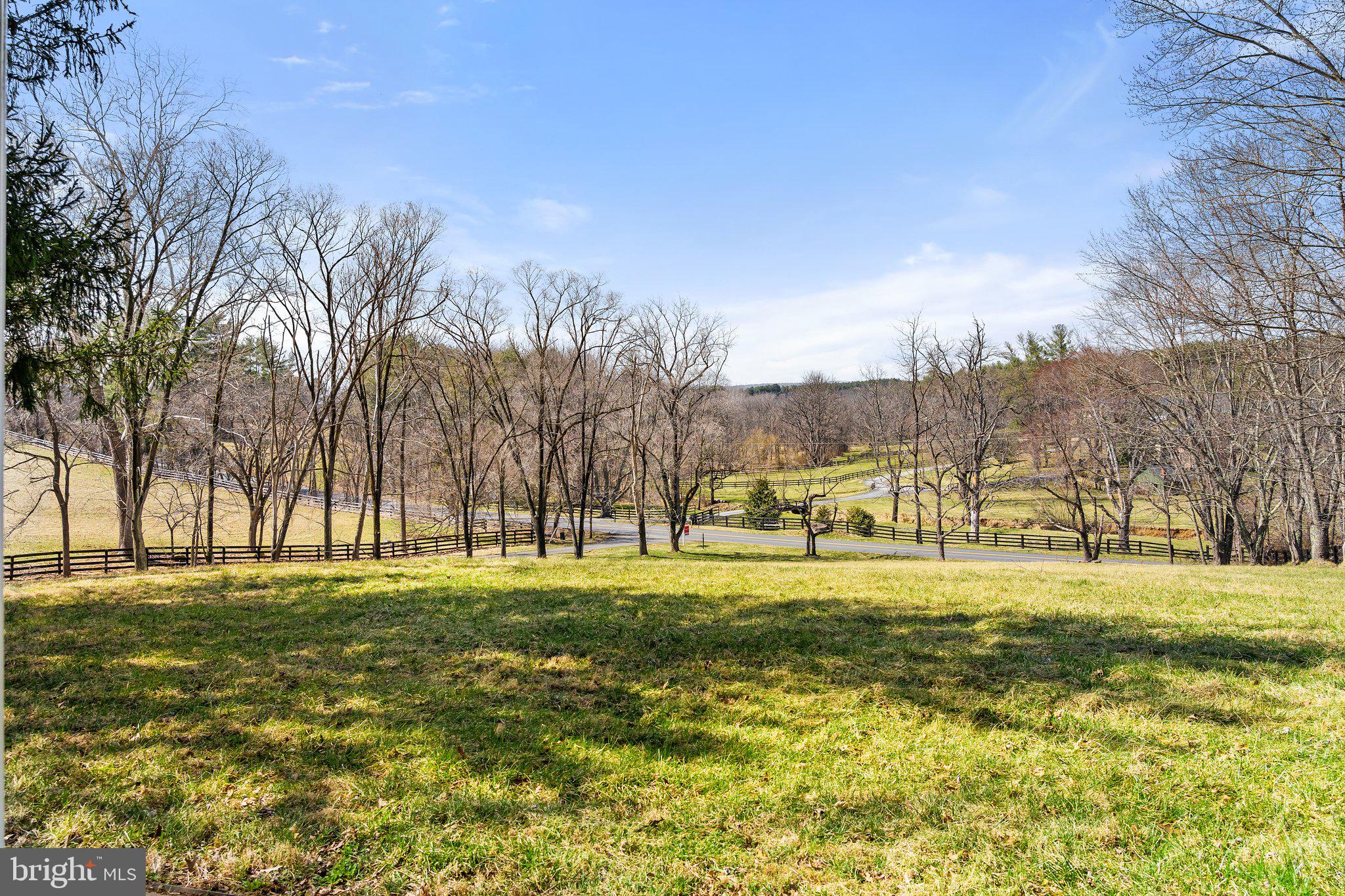 16402 Hamilton Station Road Waterford, VA 20197 - Photo 9 of 53 View from the front of house looking towards road
