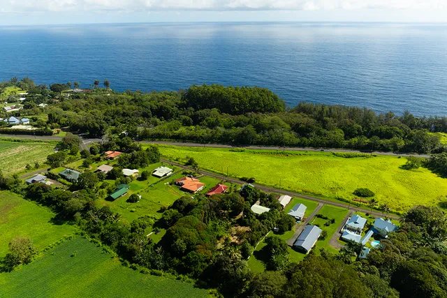 a view of a large body of water and covered with green space