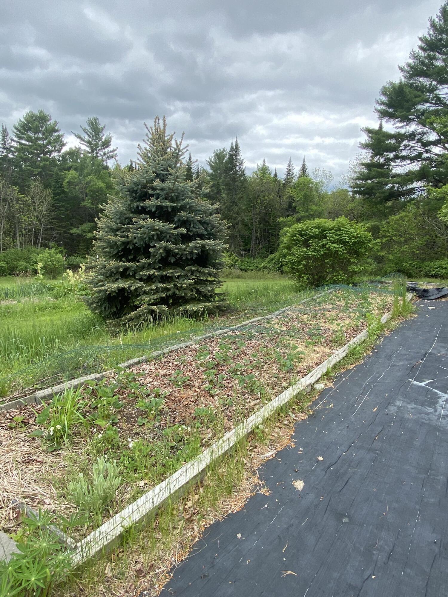 140 Fahi Pond Road Anson, ME 04958 - Photo 38 of 45 IMG_6634