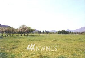 629 Twisp Carlton Road Twisp, WA 98856 - Photo 1 of 1 Gallery Image 1