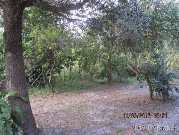 1794 Concert Road Deltona, FL 32738 - Photo 9 of 15 Additional Photo