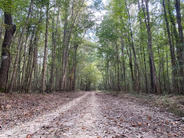 $528,000 | Cedar Creek Road, Lucedale, MS 39452