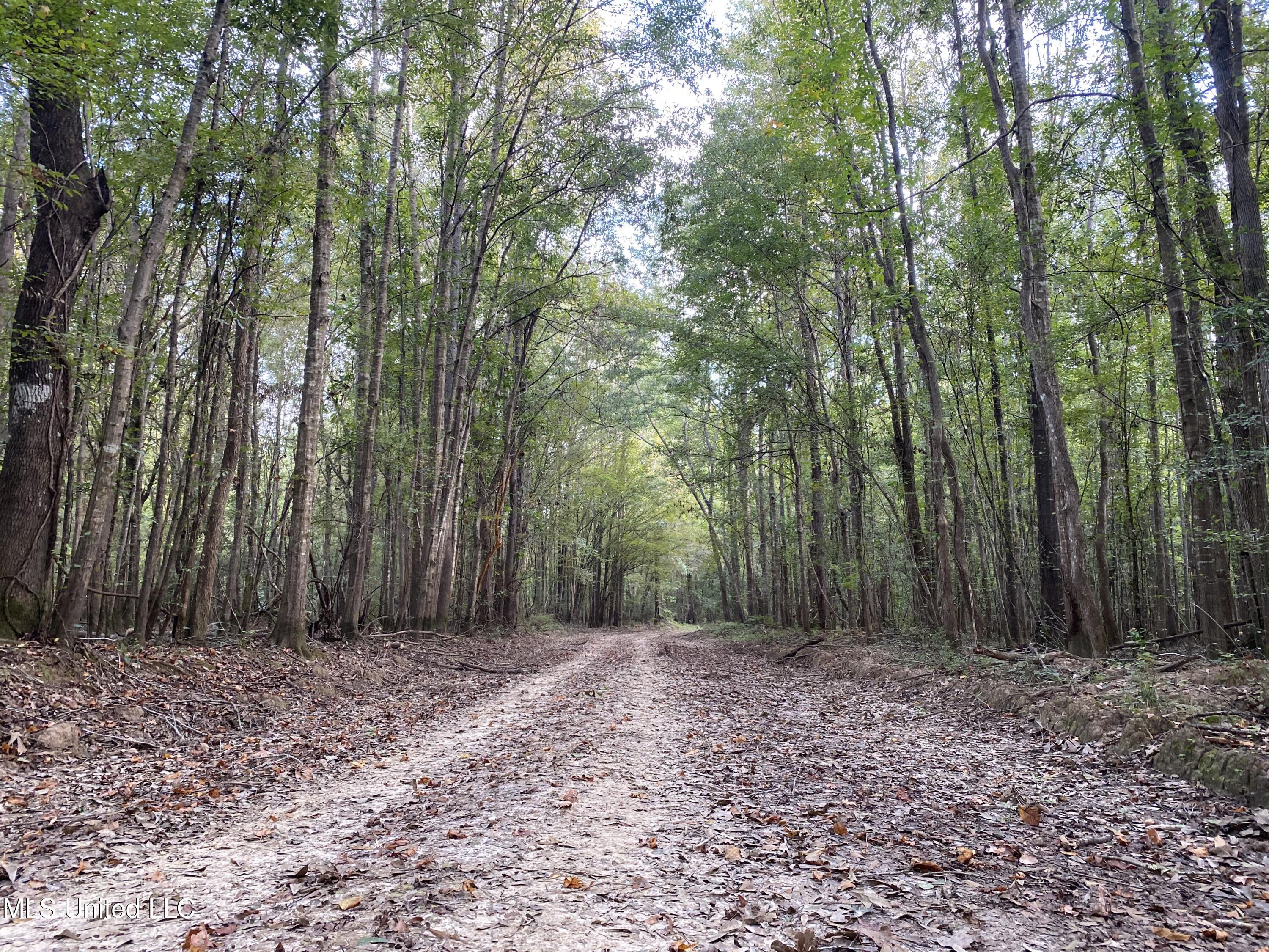 Cedar Creek Road Lucedale, MS 39452 - Photo 1 of 17 Property