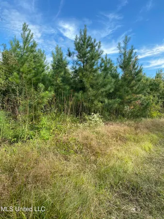 $528,000 | Cedar Creek Road, Lucedale, MS 39452