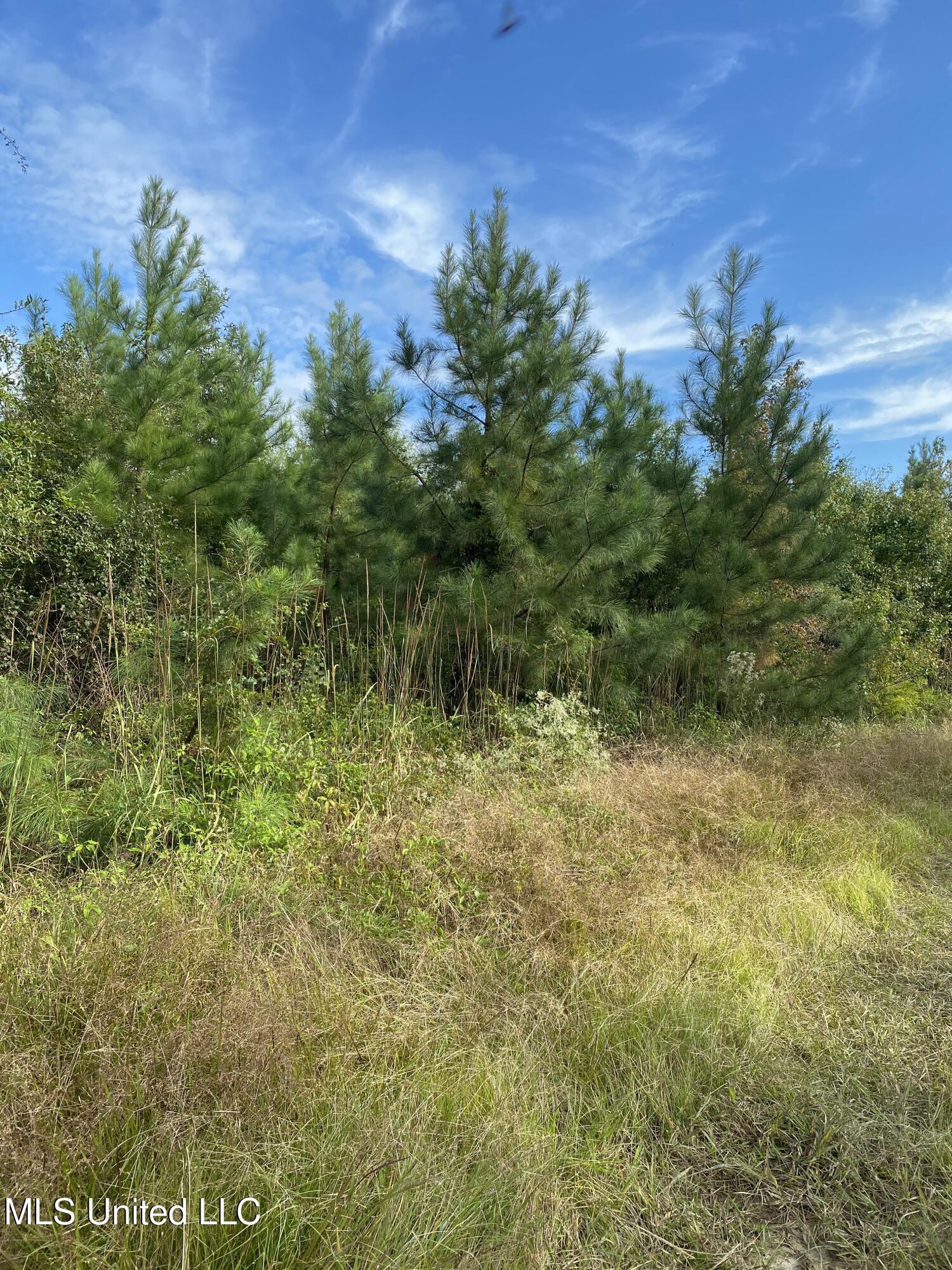 Cedar Creek Road Lucedale, MS 39452 - Photo 12 of 17 81BBB25B-5E93-4429-9494-517528888A32