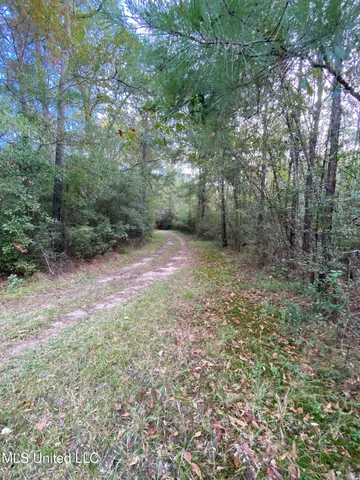 $528,000 | Cedar Creek Road, Lucedale, MS 39452