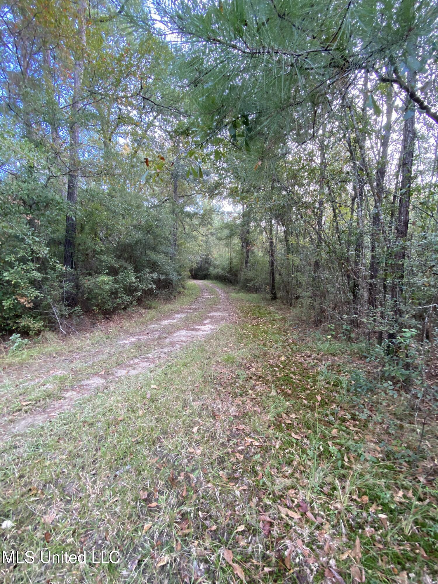 Cedar Creek Road Lucedale, MS 39452 - Photo 13 of 17 1CF778E4-FDBF-4864-9BEB-56C7EEC93DD1