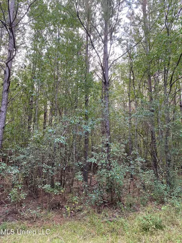 $528,000 | Cedar Creek Road, Lucedale, MS 39452