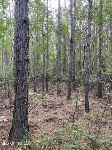 $528,000 | Cedar Creek Road, Lucedale, MS 39452