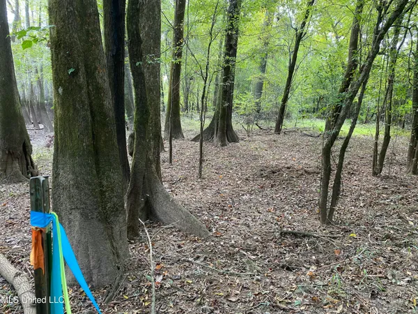 $528,000 | Cedar Creek Road, Lucedale, MS 39452