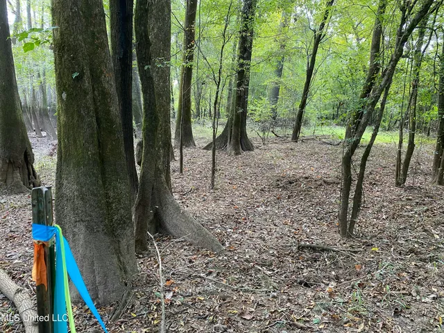 $528,000 | Cedar Creek Road, Lucedale, MS 39452