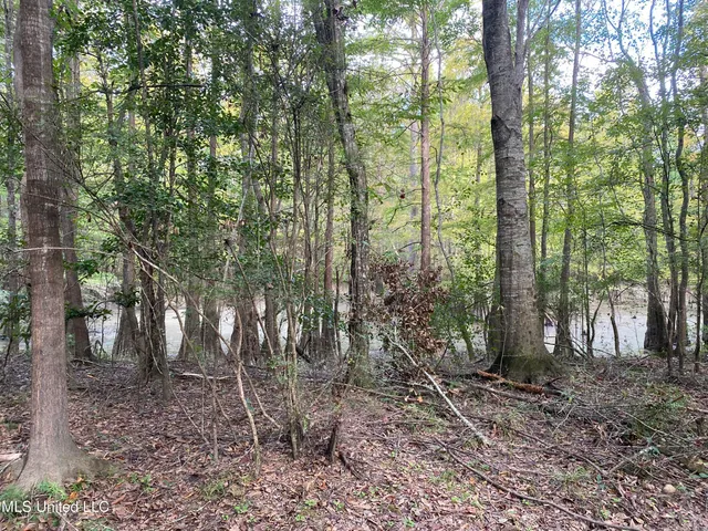 $528,000 | Cedar Creek Road, Lucedale, MS 39452