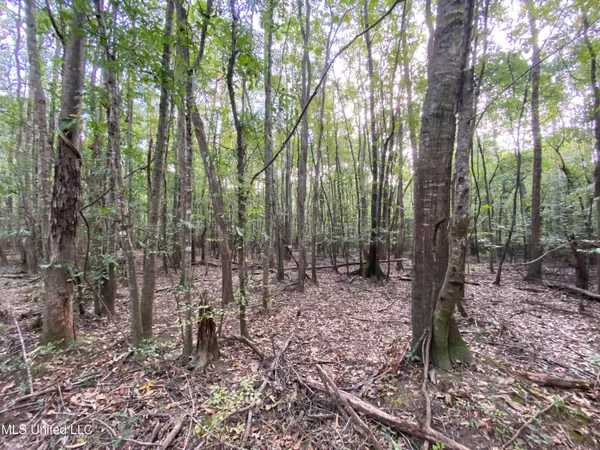 $528,000 | Cedar Creek Road, Lucedale, MS 39452