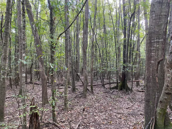 $528,000 | Cedar Creek Road, Lucedale, MS 39452