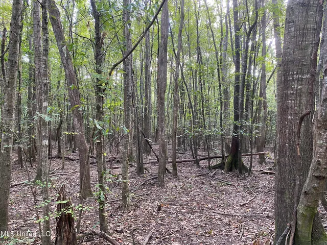 $528,000 | Cedar Creek Road, Lucedale, MS 39452