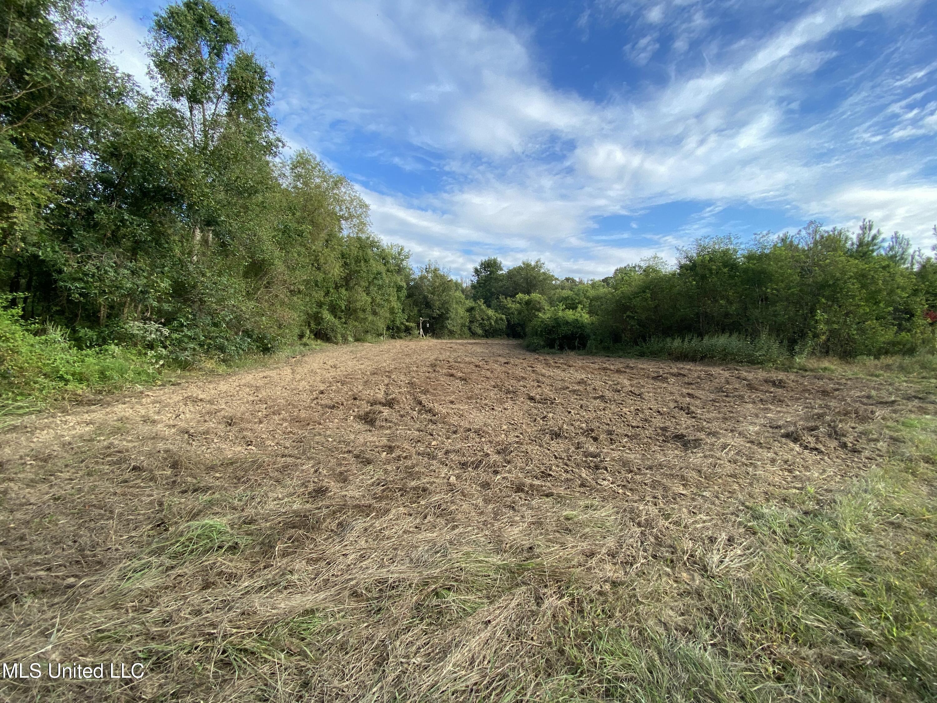 Cedar Creek Road Lucedale, MS 39452 - Photo 5 of 17 0A1A6F91-05CA-4E24-B627-34563691B651