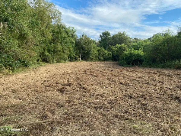 $528,000 | Cedar Creek Road, Lucedale, MS 39452