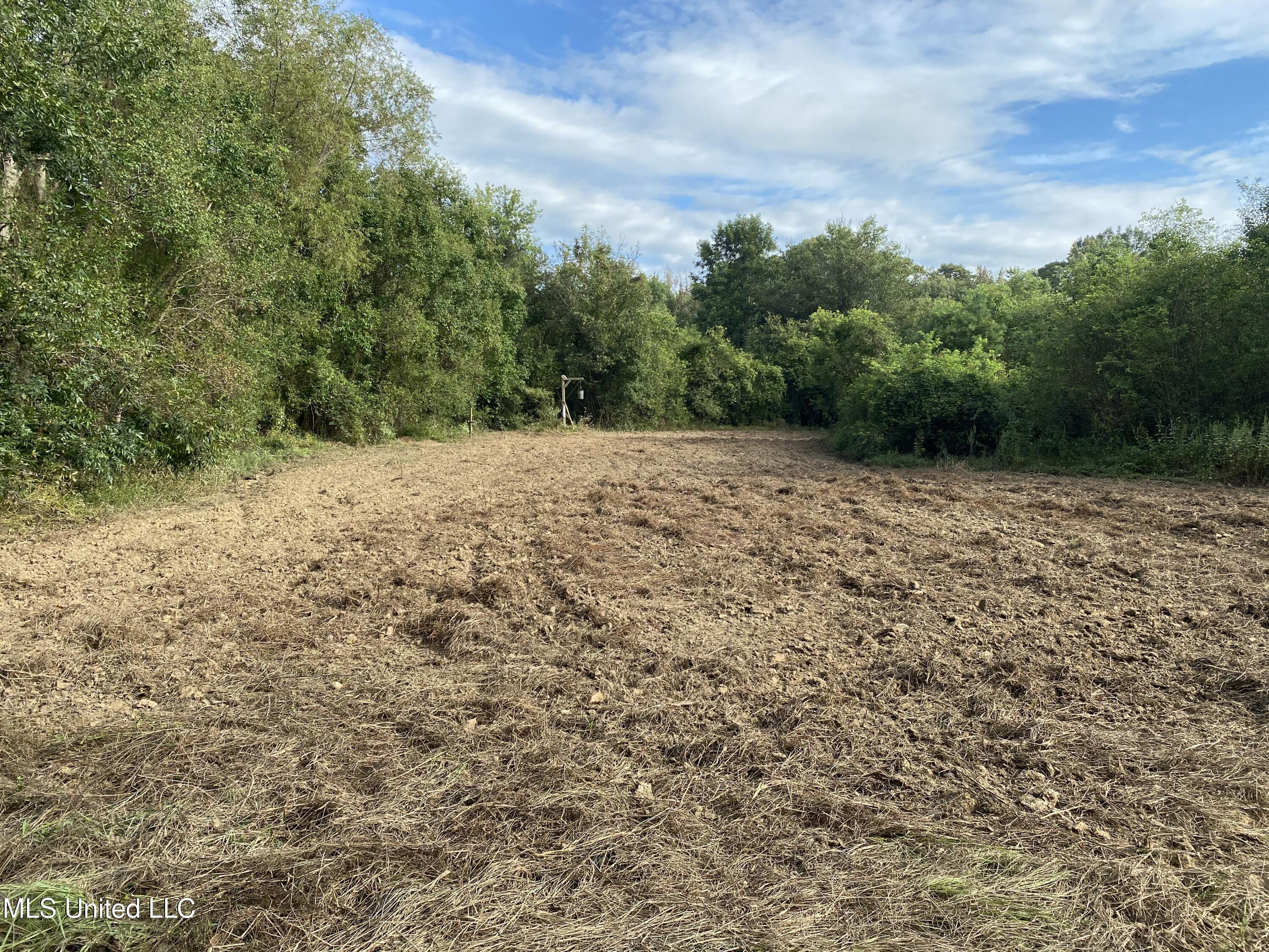 Cedar Creek Road Lucedale, MS 39452 - Photo 6 of 17 AAA62CBF-6E9F-40DC-948B-ED32EA3176D2