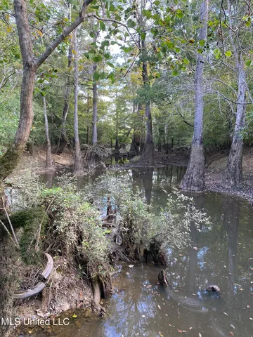$528,000 | Cedar Creek Road, Lucedale, MS 39452
