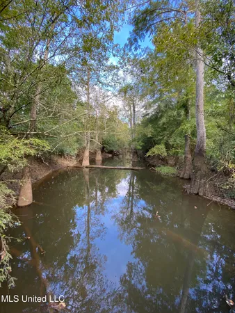 $528,000 | Cedar Creek Road, Lucedale, MS 39452
