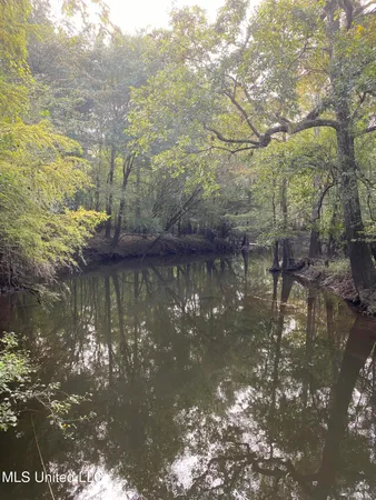 $528,000 | Cedar Creek Road, Lucedale, MS 39452