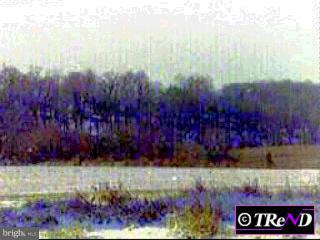445 Pennock Bridge Road West Grove, PA 19390 - Photo 1 of 1 Gallery Image 1