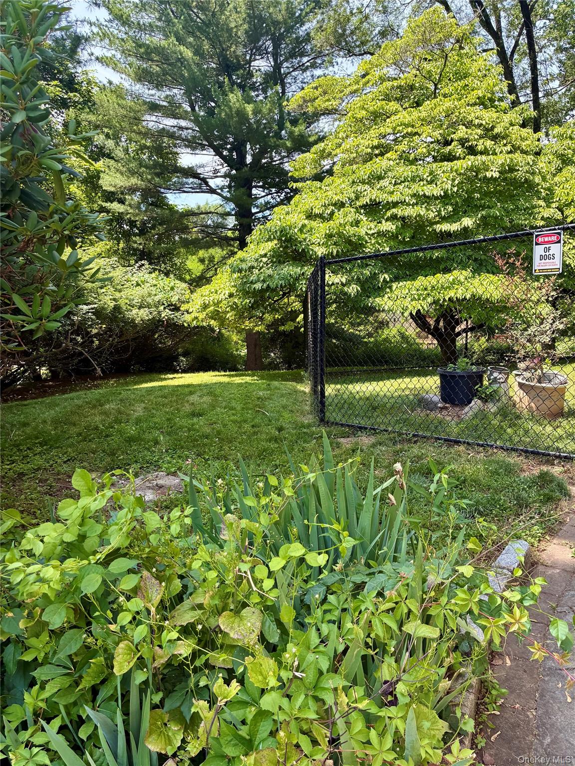 24 Ann Boulevard Spring Valley, NY 10977 - Photo 25 of 25 a view of a garden with a tree