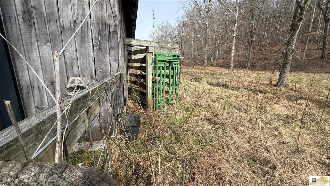 439 Spout Springs Road Knifley, KY 42753 - Photo 46 of 92 Gallery Image 46