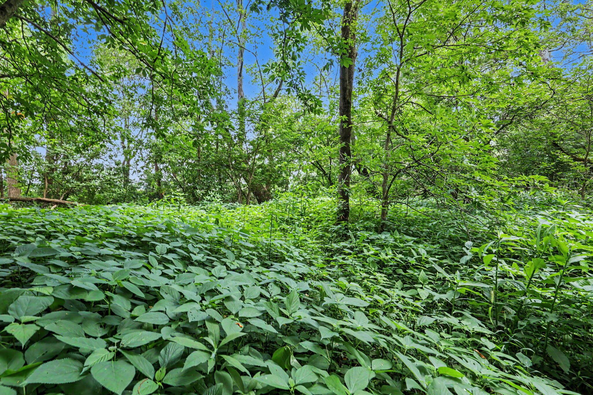 3787 Refugee Road Southwest Hebron, OH 43025 - Photo 20 of 50