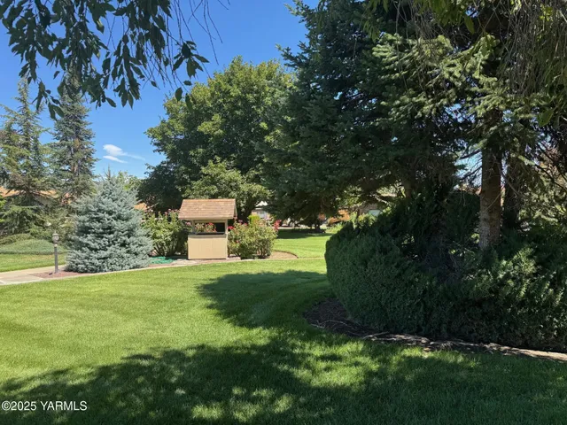 a view of a garden with large trees