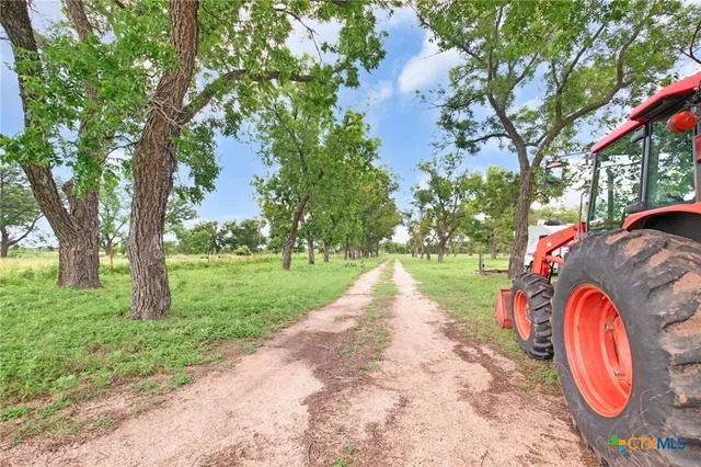 a view of outdoor space with garden