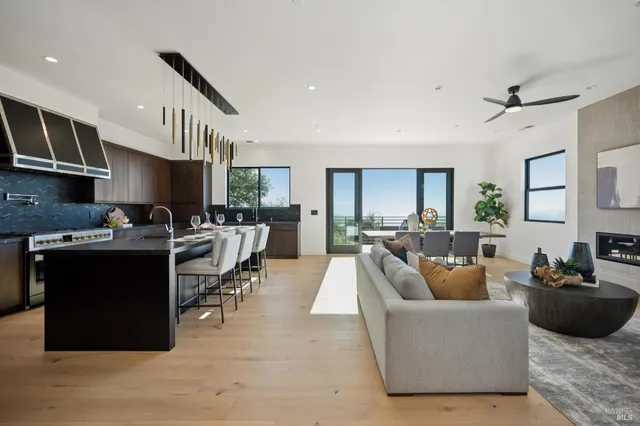 a living room with furniture a rug and a potted plant
