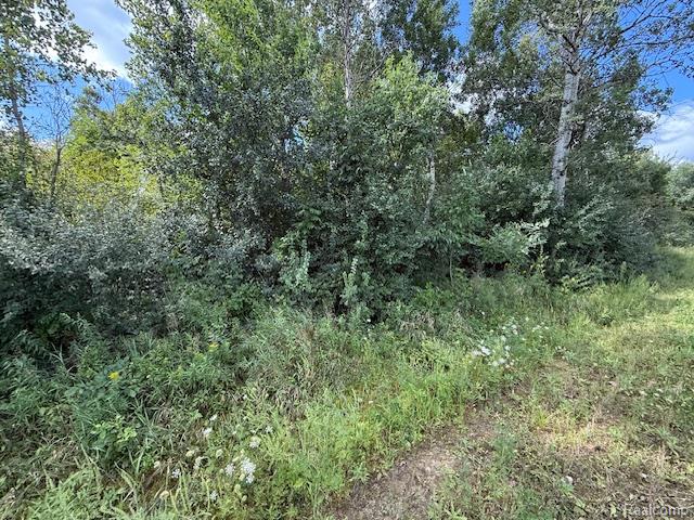 0 Capac Road Yale, MI 48097 - Photo 23 of 36 IMG_5611.jpg