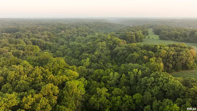 $620,000 | 6188 East Howard Road, Smithfield, IL 61477