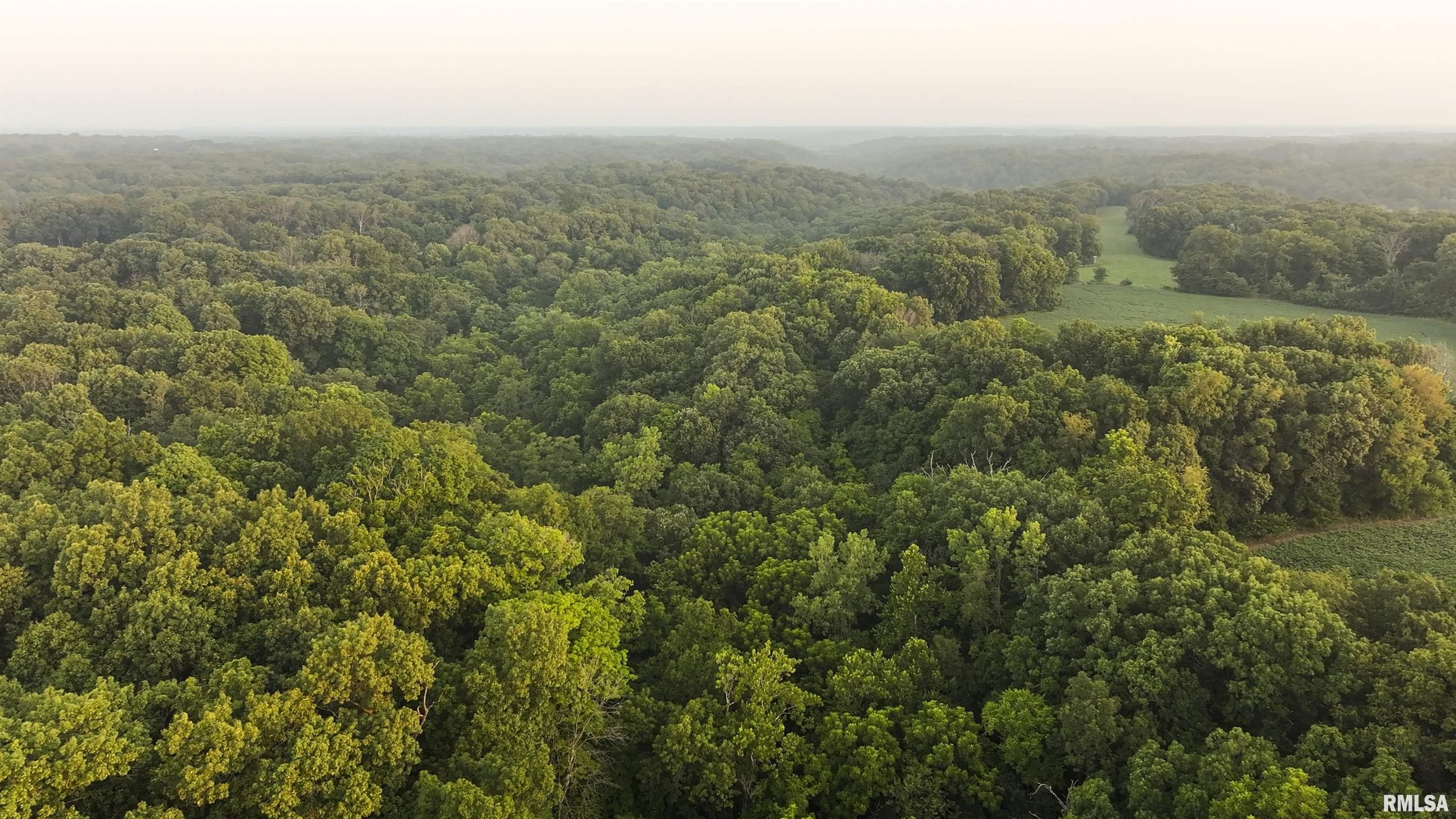 6188 East Howard Road Smithfield, IL 61477 - Photo 11 of 27