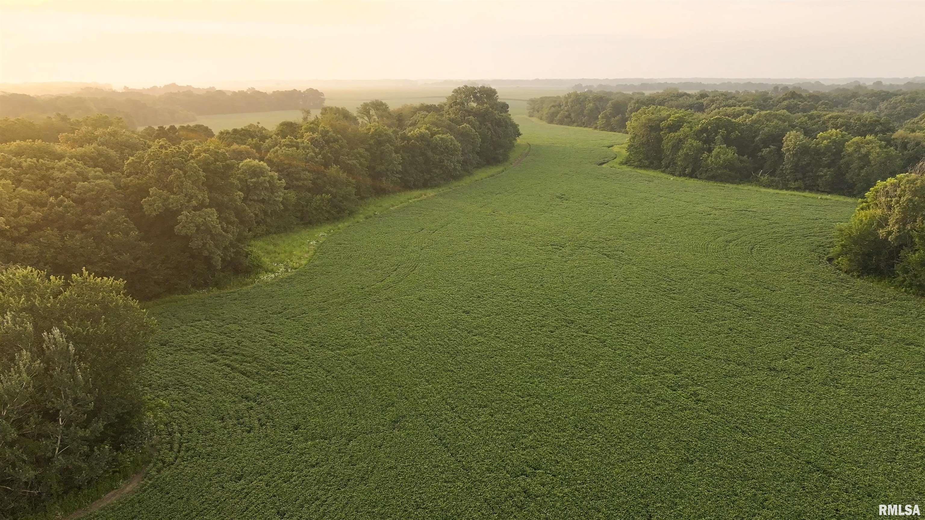 6188 East Howard Road Smithfield, IL 61477 - Photo 13 of 27