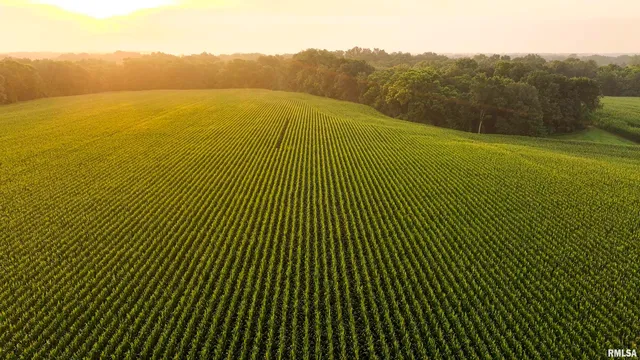 $620,000 | 6188 East Howard Road, Smithfield, IL 61477