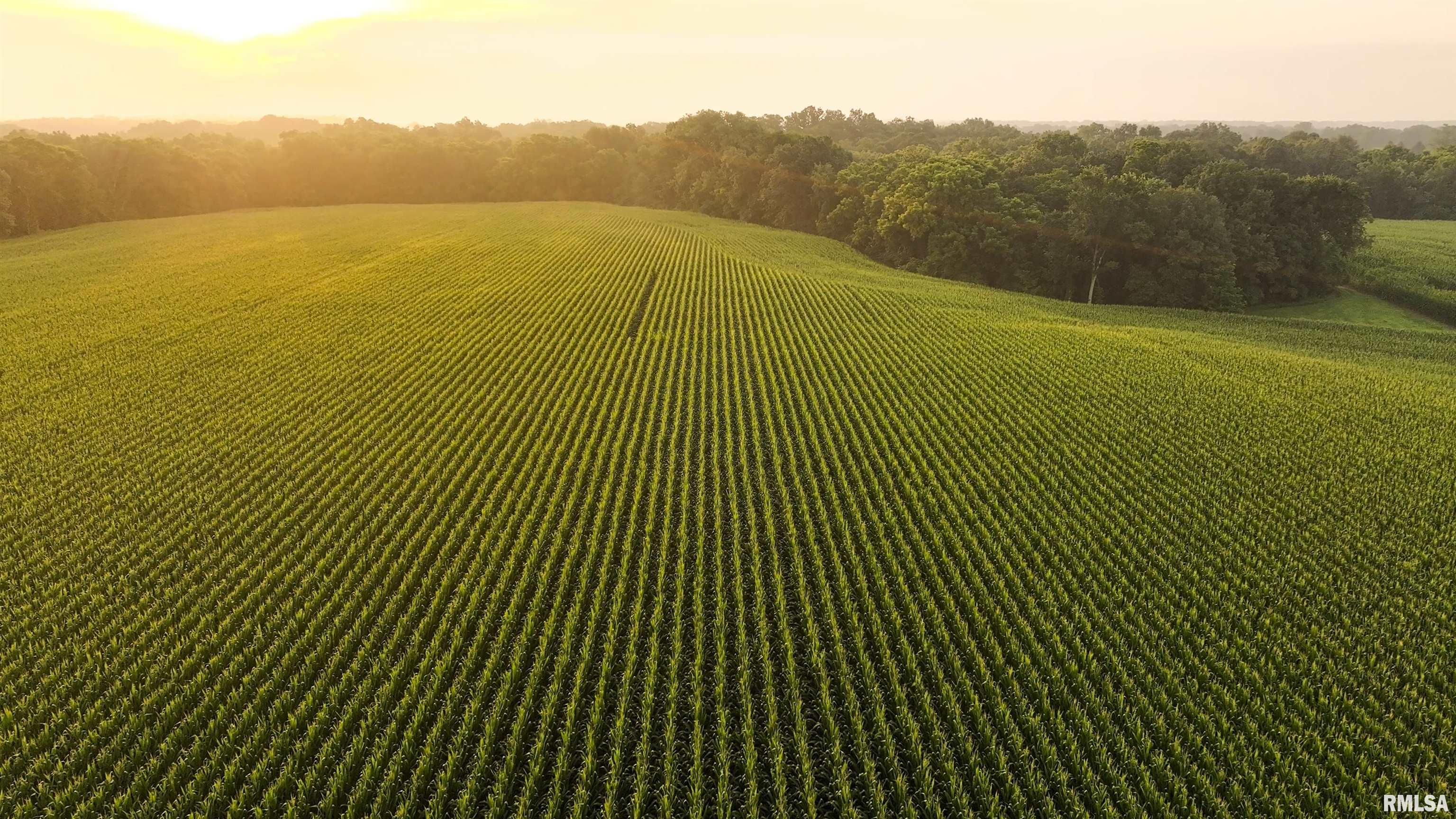 6188 East Howard Road Smithfield, IL 61477 - Photo 15 of 27