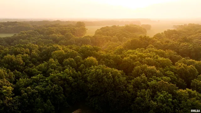 $620,000 | 6188 East Howard Road, Smithfield, IL 61477