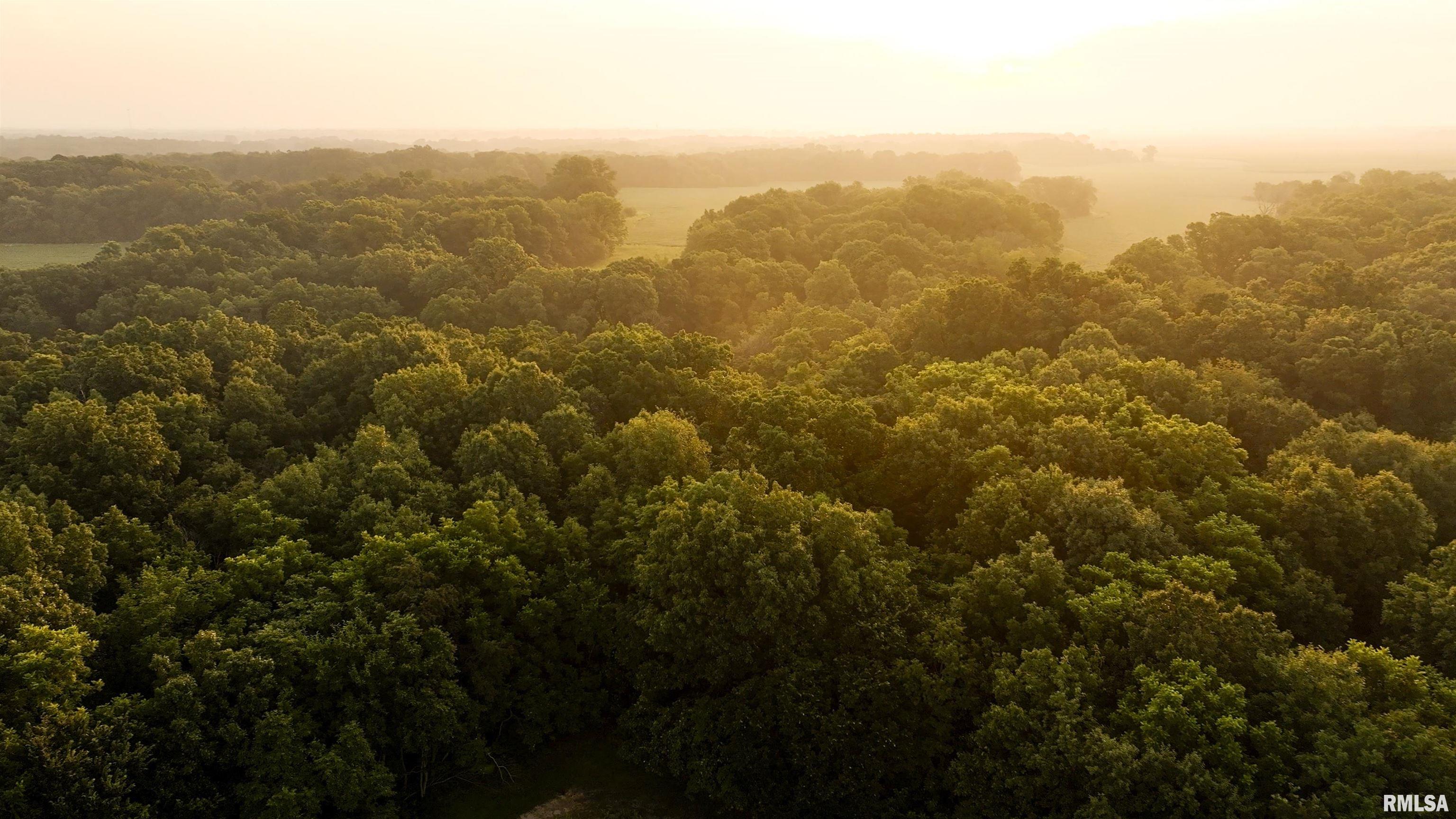 6188 East Howard Road Smithfield, IL 61477 - Photo 16 of 27